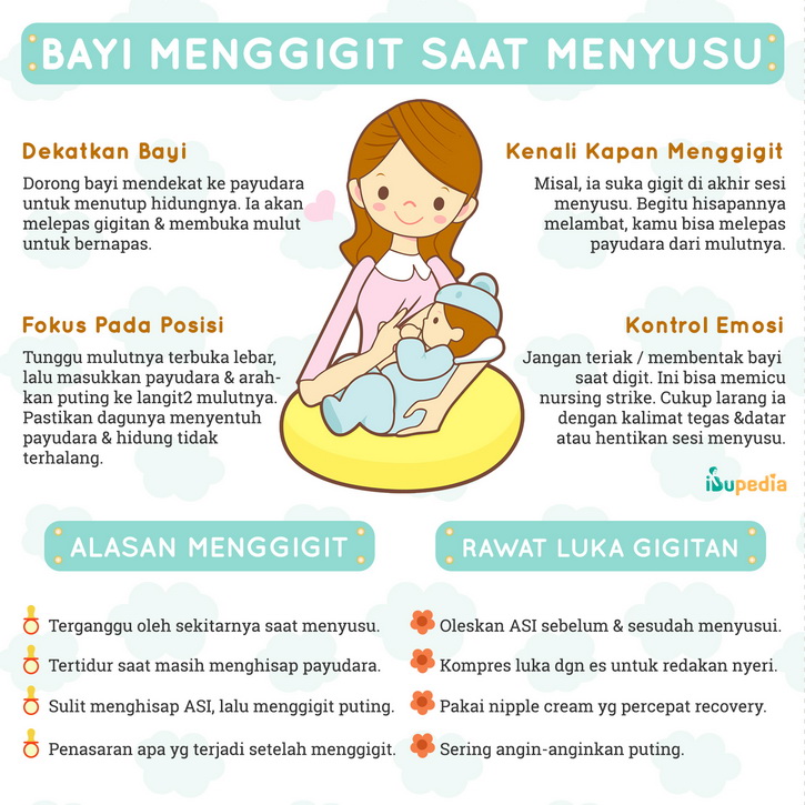 bayi menggigit saat menyusui