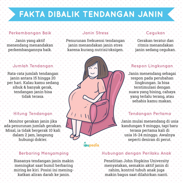 fakta di balik tendangan janin