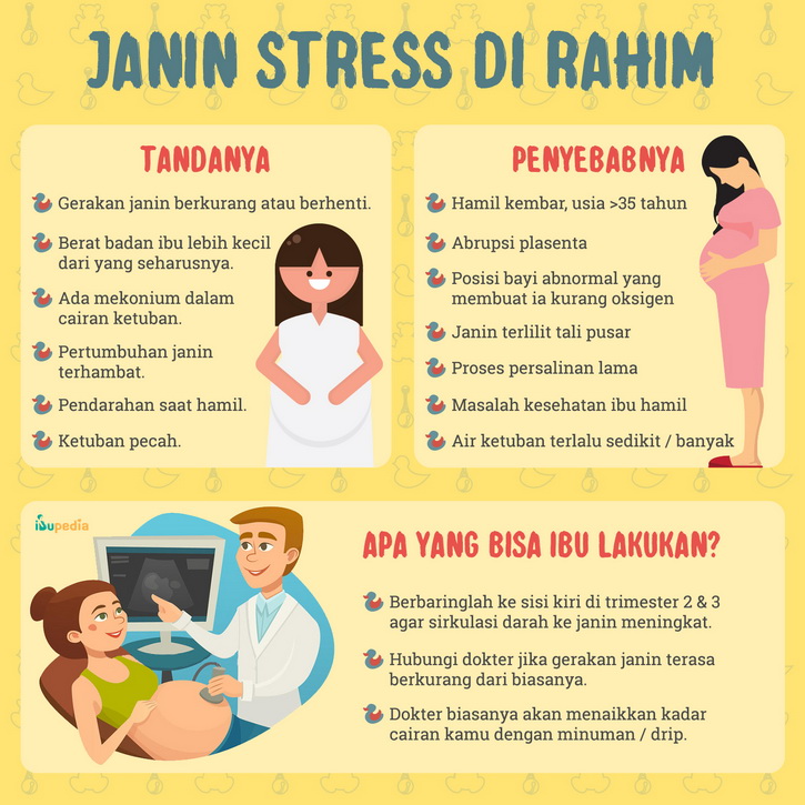 janin stress di rahim