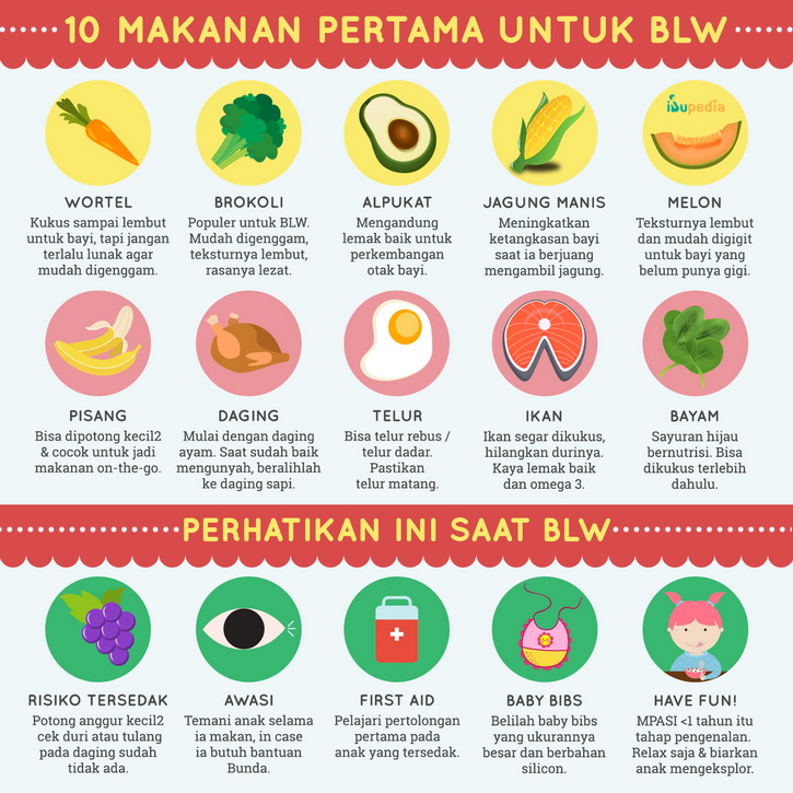 Infografis: 10 Makanan Pertama untuk BLW