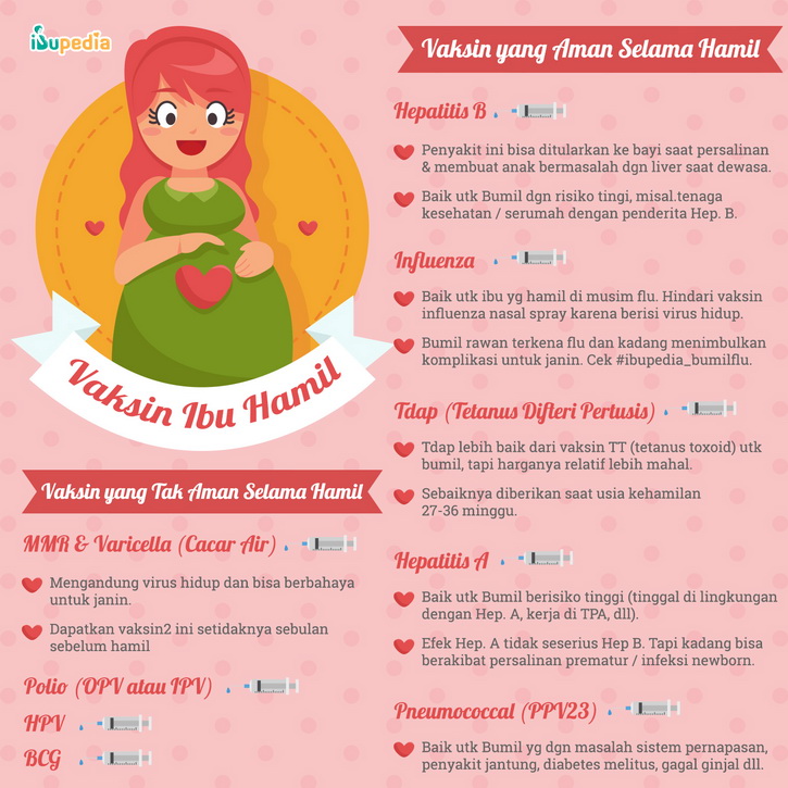 Vaksin untuk Ibu Hamil Infografis Ibupedia