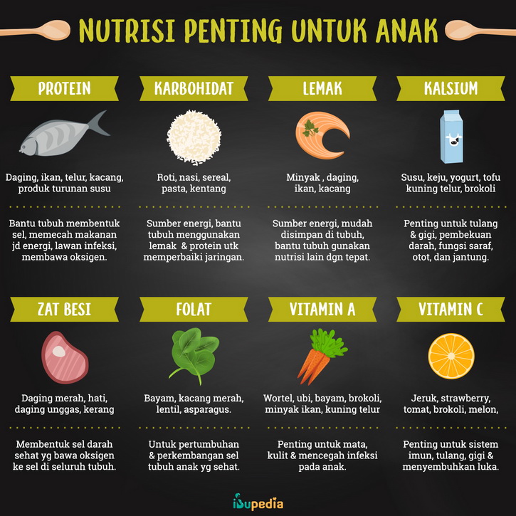 nutrisi penting untuk anak