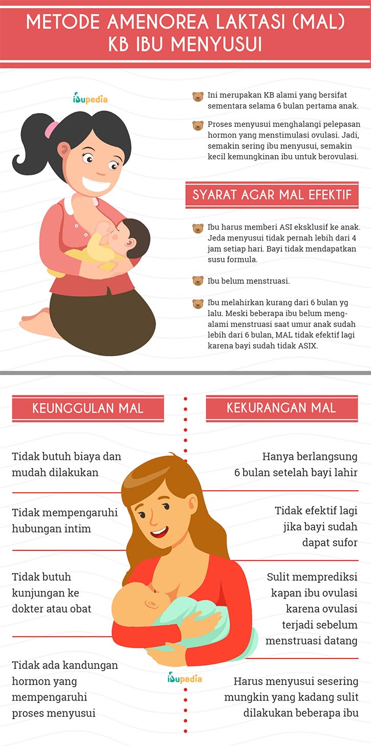 metode amenorea laktasi kb ibu menyusui