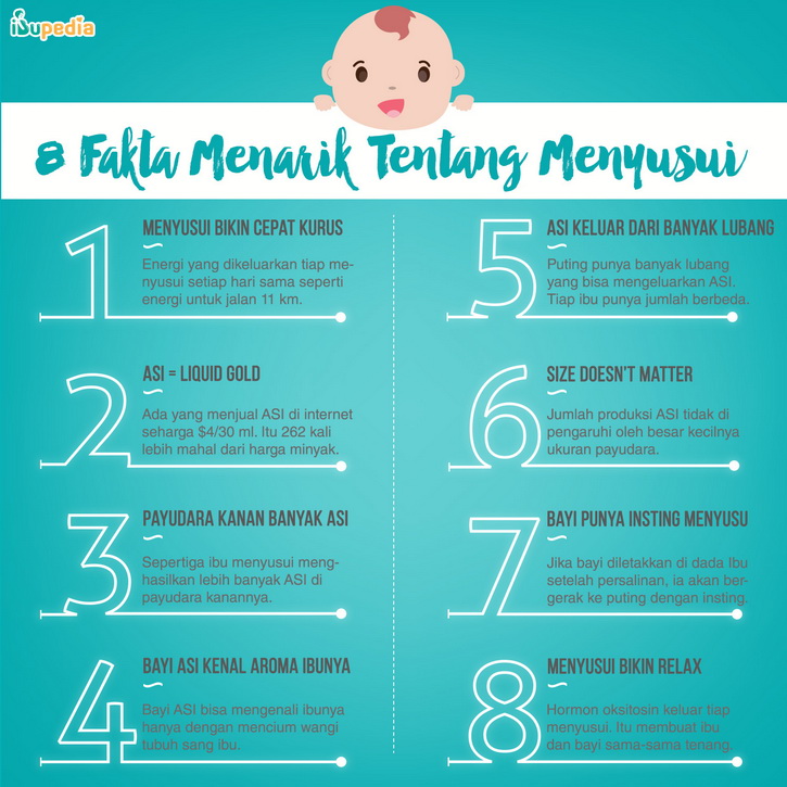 fakta menyusui