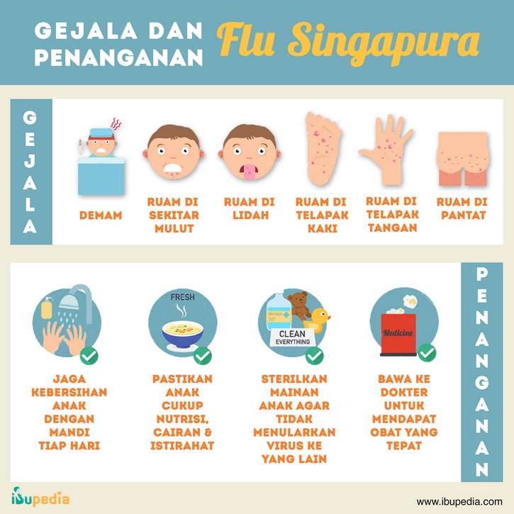flu singapura