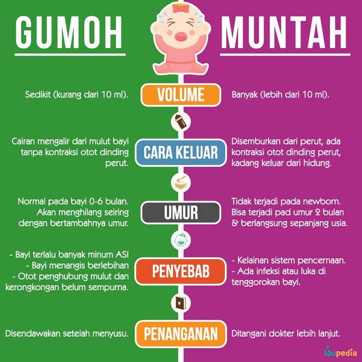 perbedaan gumoh dan muntah