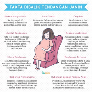 Infografis: Fakta di Balik Tendangan Janin