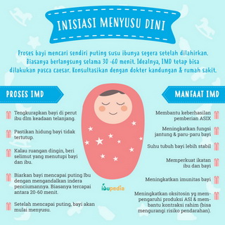 Infografis: Inisiasi Menyusu Dini