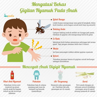 Infografis: Mengatasi Bekas Gigitan Nyamuk Pada Anak