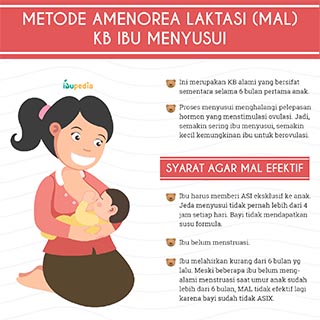 Infografis: Metode Amenorea Laktasi: KB Ibu Menyusui