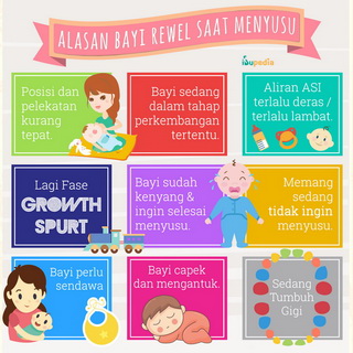 Infografis: Alasan Bayi Rewel saat Menyusu