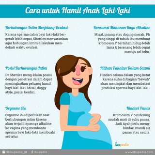Infografis: Cara untuk Hamil Anak Laki-Laki