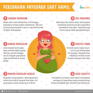 Infografis: Perubahan Payudara Saat Hamil