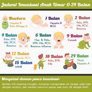 Infografis: Jadwal Imunisasi Anak Umur 0-24 Bulan