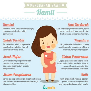 Infografis: Perubahan Saat Hamil