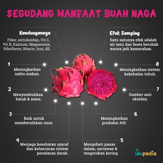 Infografis: Segudang Manfaat Buah Naga