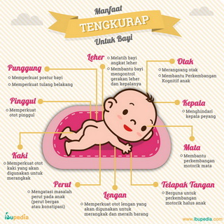 Infografis: Perubahan Payudara Saat Hamil