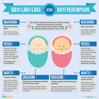 Infografis: Bayi Laki Laki atau Bayi Perempuan