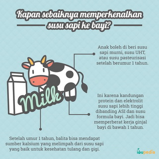 Infografis: Susu Sapi untuk Bayi