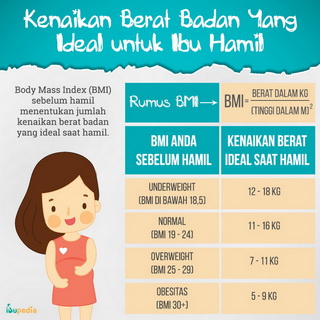 Infografis: Kenaikan Berat Badan yang ideal untuk Ibu Hamil