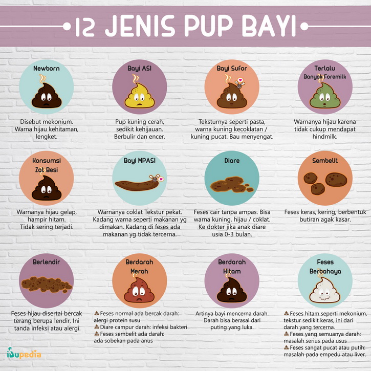 12 jenis pup bayi