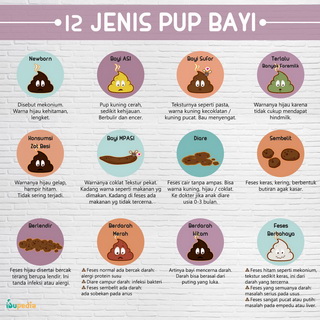 Infografis: 12 Jenis Pup Bayi